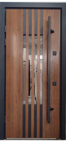 PORTALA  PROF GUARD